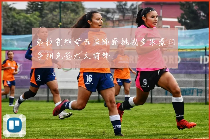 弗拉霍维奇面临降薪挑战多家豪门争相免签尤文前锋