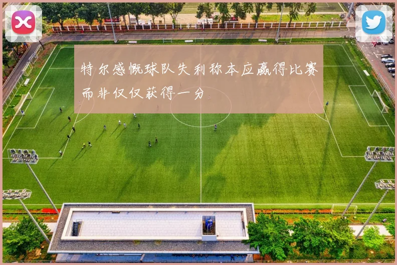 特尔感慨球队失利称本应赢得比赛而非仅仅获得一分
