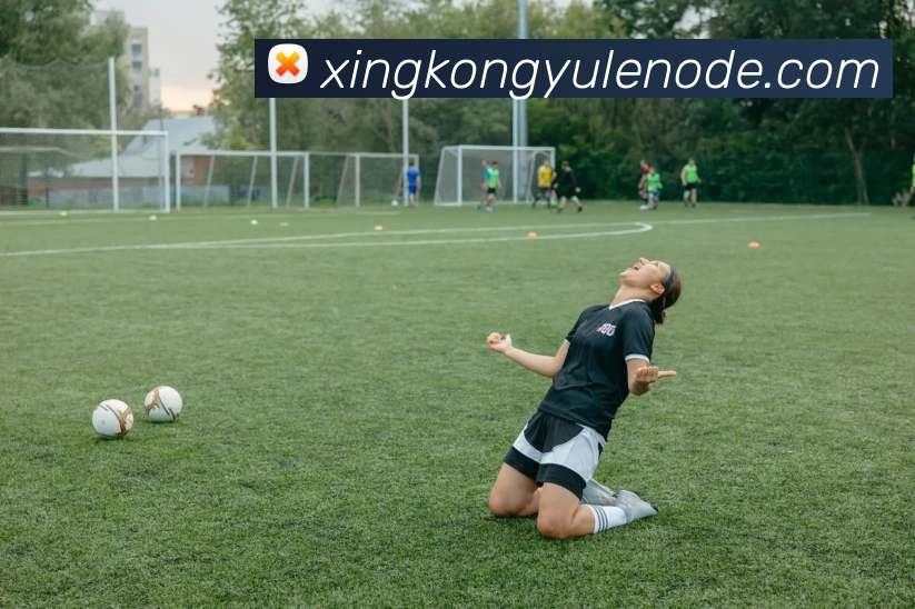 星空娱乐发展历程