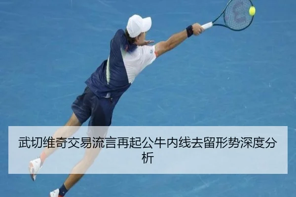 武切维奇交易流言再起公牛内线去留形势深度分析 - xingkong